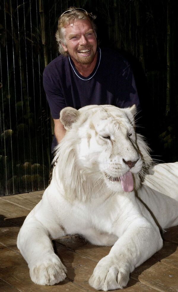 Британский магнат Ричард Брэнсон с белым бенгальским тигром, Австралия. - Sputnik Армения