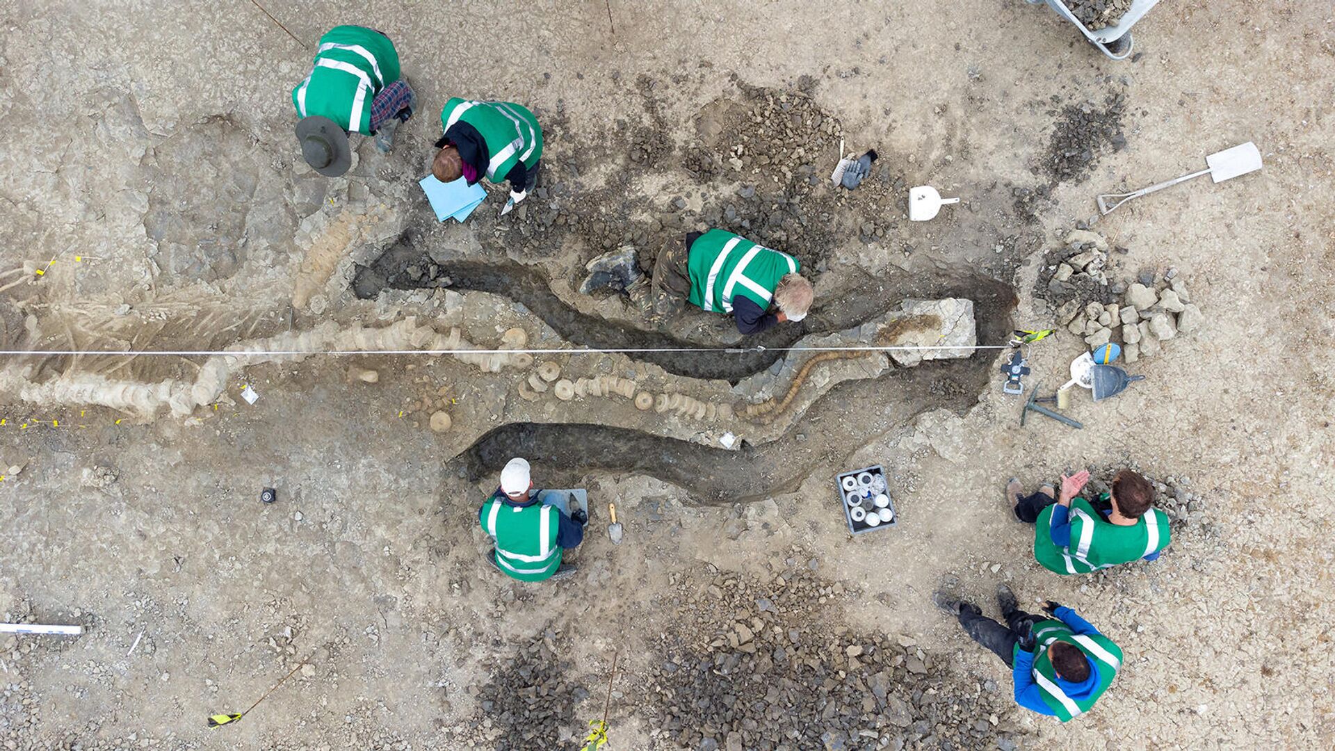 Палеонтологи работают на месте находки останков крупнейшего британского ихтиозавра в Ратленд-Уотер (август 2021 г.). Округ Ратленд - Sputnik Армения, 1920, 10.01.2022