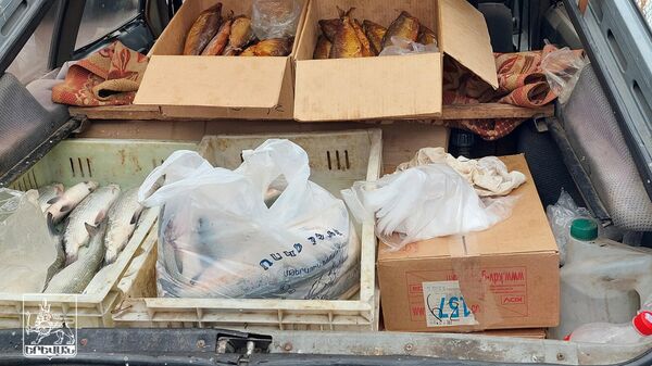 Сотрудники столичной мэрии конфисковали 300 кг рыбы сиг с продажи (январь 2022). Еревaн - Sputnik Армения
