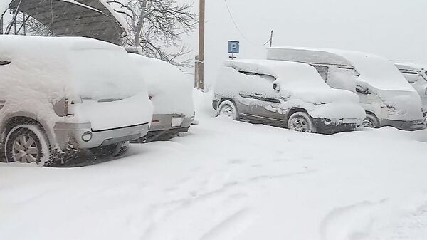 Сильный снегопад в горах Грузии: как расчищают дороги от снега - Sputnik Армения