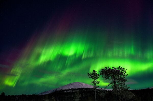 Ավրորա հյուսիսափայլը լուսավորում է գիշերային երկինքը Ֆինլանդիայում - Sputnik Արմենիա