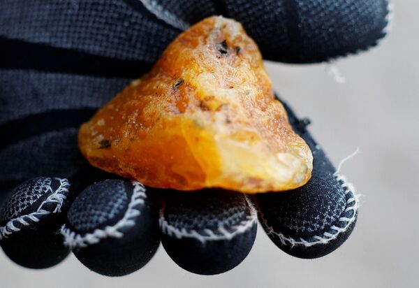 Սաթի «որսորդը», ձեռքին՝ բնաքարը, որը հայտնաբերել է Բալթիկ ծովի ափին՝ Կալինինգրադի մարզի Պիոներսկի քաղաքում, 2022 թվականի հունվարի 18-ին - Sputnik Արմենիա