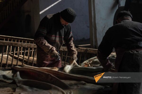 Очистка сырой кожи на Ереванском кожевенном заводе - Sputnik Армения