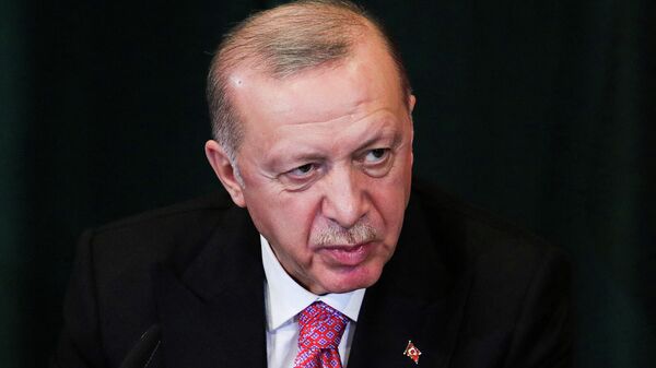 Президент Турции Реджеп Тайип Эрдоган на пресс-конференции в Албагии (17 января 2022). Тирана - Sputnik Армения