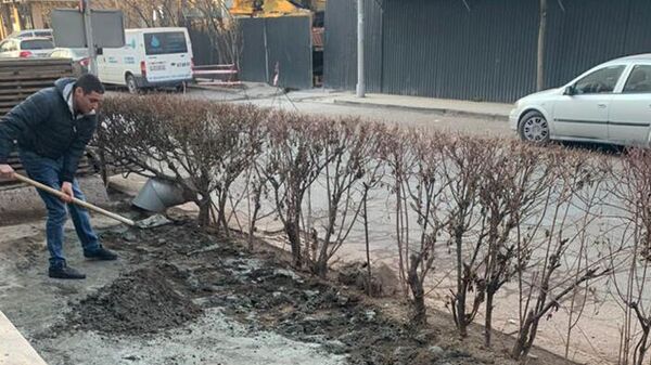 Мэрия Еревана предотвратила попытку расширения тротуара за счет зеленой зоны (4 февраля 2022). Еревaн - Sputnik Армения