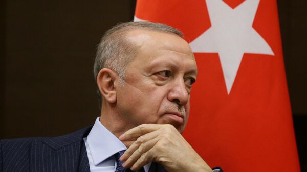 Президент РФ В. Путин провел переговоры с президентом Турции Р. Эрдоганом - Sputnik Армения