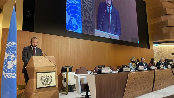 Выступление министра иностранных дел РА Арарата Мирзояна на 49-й сессии Совета ООН по правам человека (28 февраля 2022). Женева - Sputnik Армения