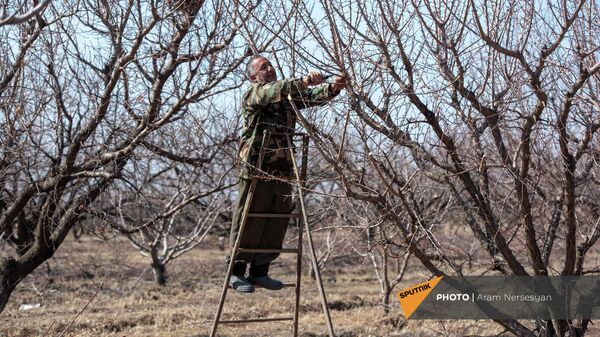 Житель общины Налбандян Вачик Хачатрян - Sputnik Армения