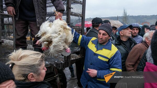 Птицефабрика Лусакерт раздает курицы перед закрытием - Sputnik Армения