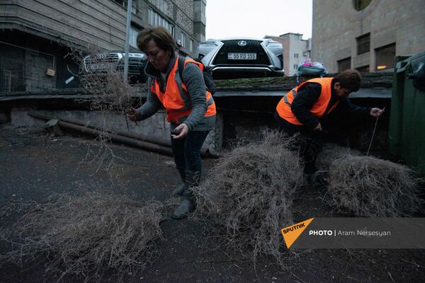 Сотрудники организации Вывоз мусора и санитарная очистка Еревана  за работой - Sputnik Армения