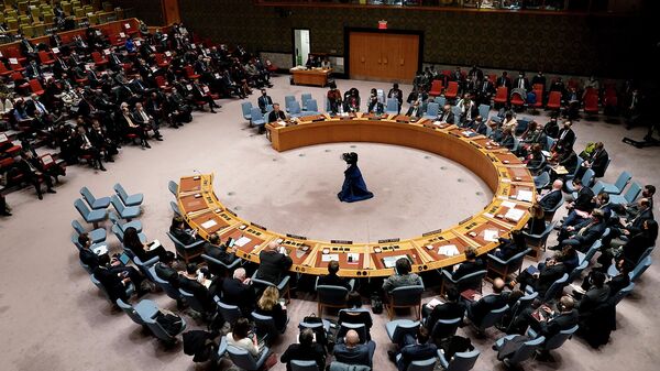 Заседание совета Безопасности ООН (25 февраля 2022). Женева - Sputnik Армения