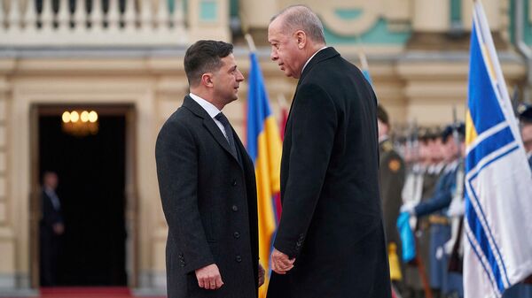 Ուկրաինայի և Թուրքիայի նախագահներ Վլադիմիր Զելենսկին ու Ռեջեփ Թայիփ Էրդողանը պաշտոնական հանդիպումից առաջ` ողջույնի արարողության ժամանակ (3 փետրվարի, 2020թ). Կիև - Sputnik Արմենիա