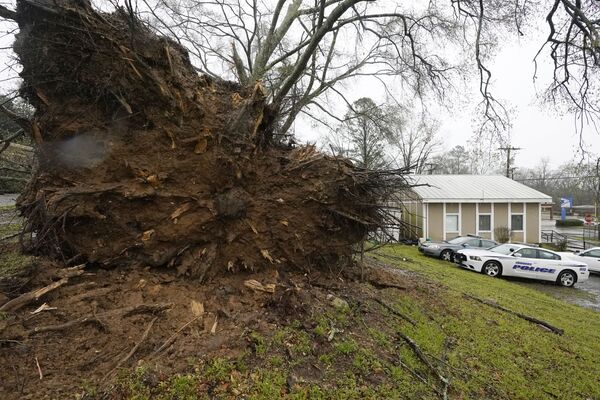 Вырванное с корнем дерево в районе города Эдвардс, штат Миссисипи - Sputnik Армения