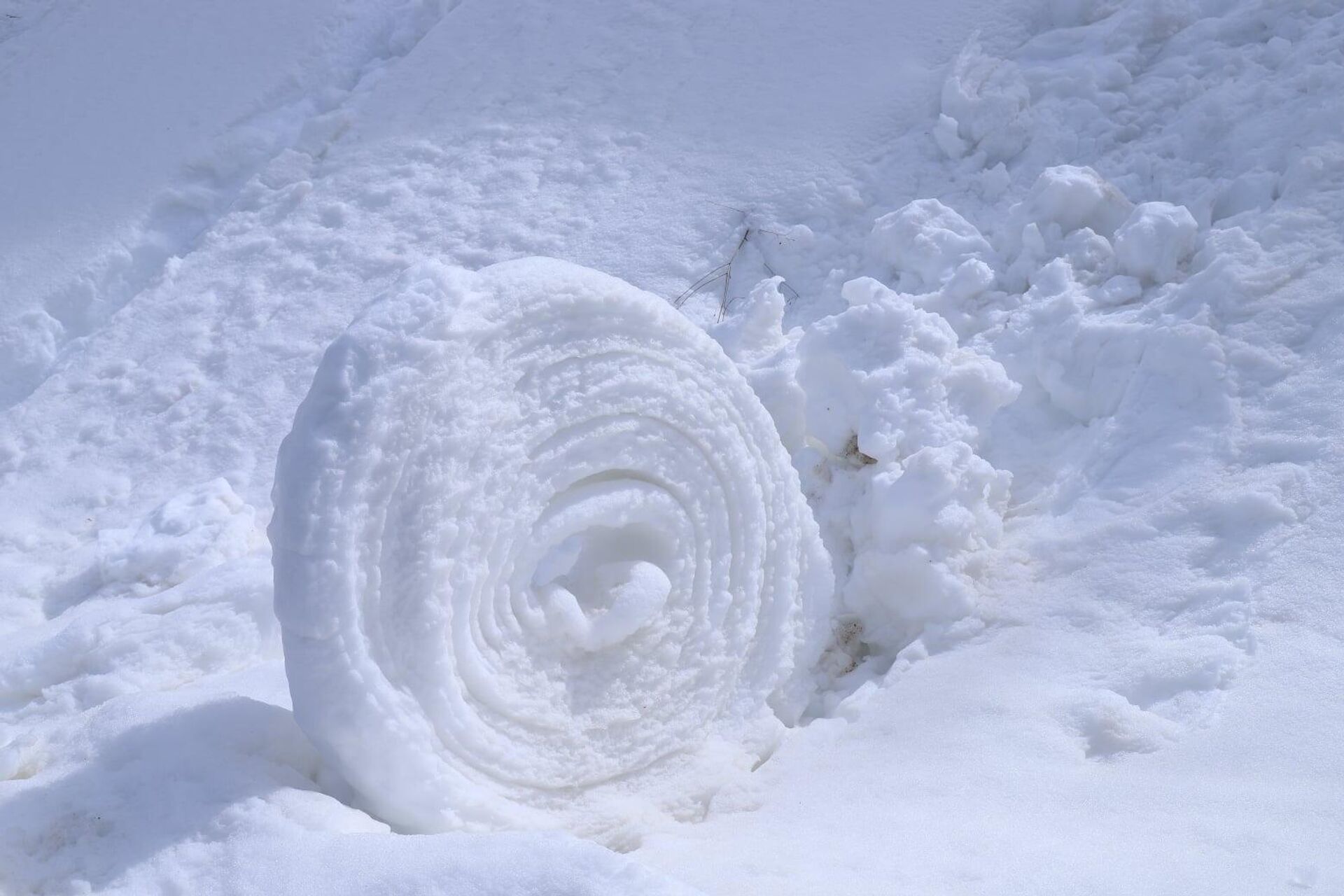 Причудливое природное явление на Мегринском хребте: снежный ком принял форму рулета - Sputnik Армения, 1920, 31.03.2022