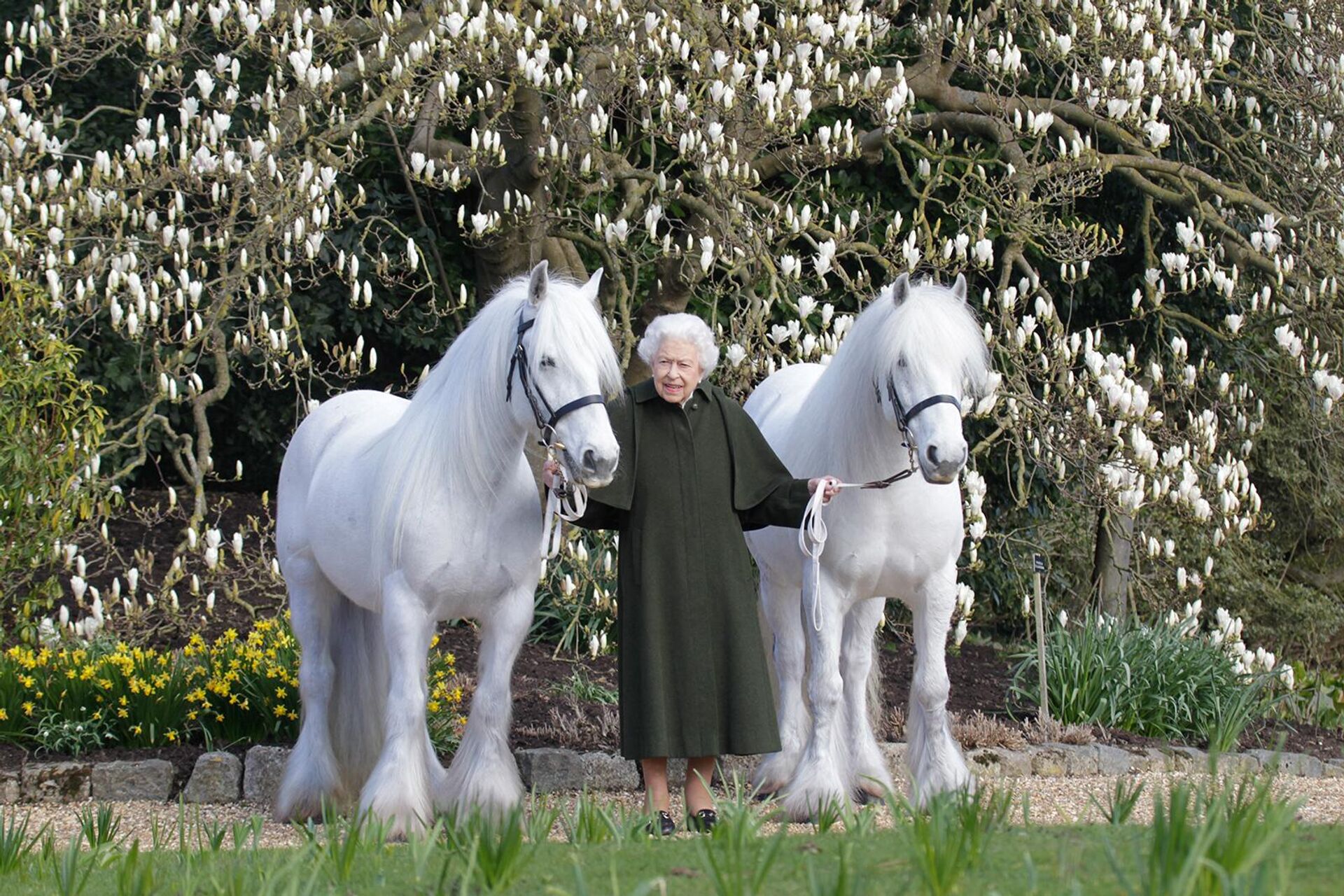 Մեծ Բրիտանիայի թագուհի Եղիսաբեթ 2-րդն իր սիրելի պոնիների` Բայբեկ Նայտինգեյլի (աջից) և Բայբեկ Քեթի հետ։  Լուսանկարը հրապարակված է 20․04․2022թ-ին Royal Windsor Horse Show-ի կողմից - Sputnik Արմենիա, 1920, 21.04.2022