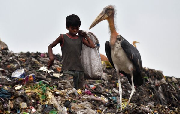 Индийский мальчик перебирает мусор рядом с аистом на большой свалке в северо-восточном штате Ассам в Гувахати. - Sputnik Армения