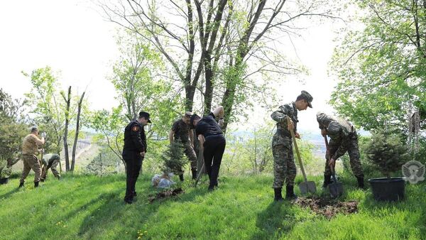 Զինծառայողները ծառեր են տնկել և մասնակցել համապետական շաբաթօրյակին - Sputnik Արմենիա