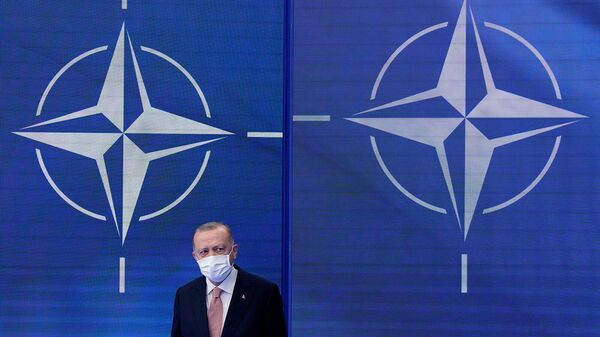 Հնարավո՞ր է՝ ՆԱՏՕ-ն չկատարի Թուրքիայի պահանջները. պատասխանում է Պողոսյանը - Sputnik Արմենիա