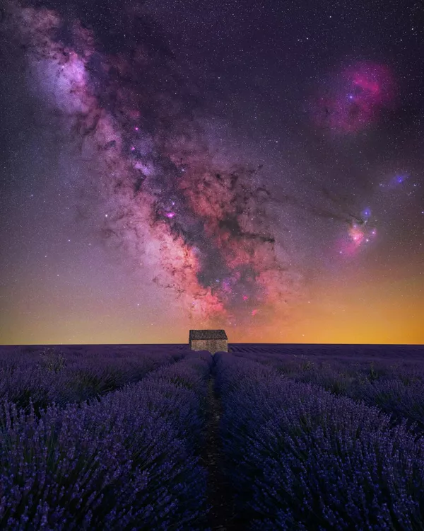 Ֆրանսիացի լուսանկարիչ Բենջամին Բարաքաթի «House of Lavender» լուսանկարը - Sputnik Արմենիա