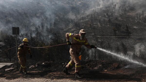 Пожарные тушат лесные пожары в пригороде Вула, на юге Афин (4 июня 2022). Греция - Sputnik Армения
