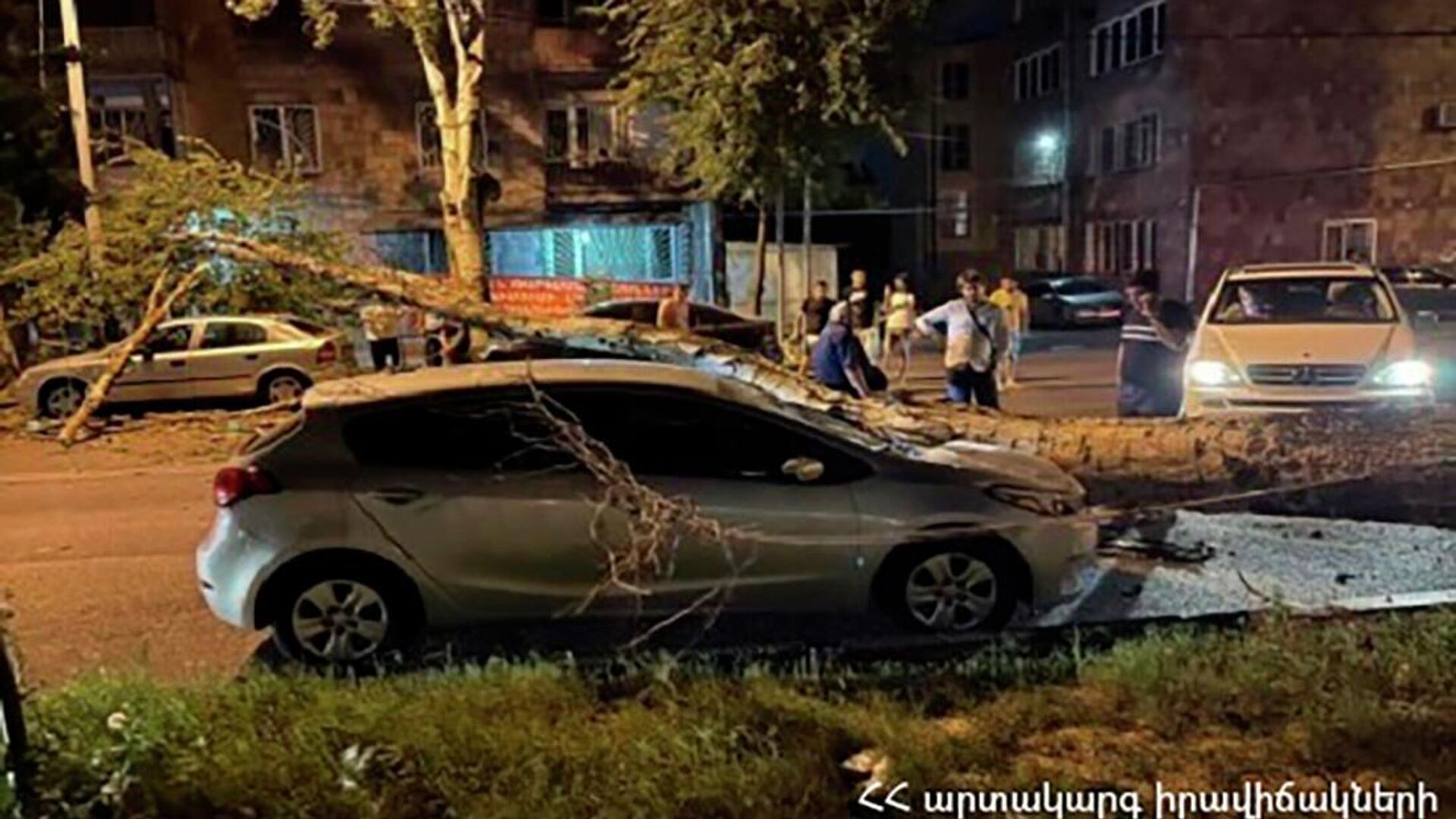 Во дворе дома N 4 по улице Наирян при сильном ветре сломалось дерево и упало на 3 припаркованных автомобиля (5 июня 2022). Абовян - Sputnik Армения, 1920, 05.06.2022