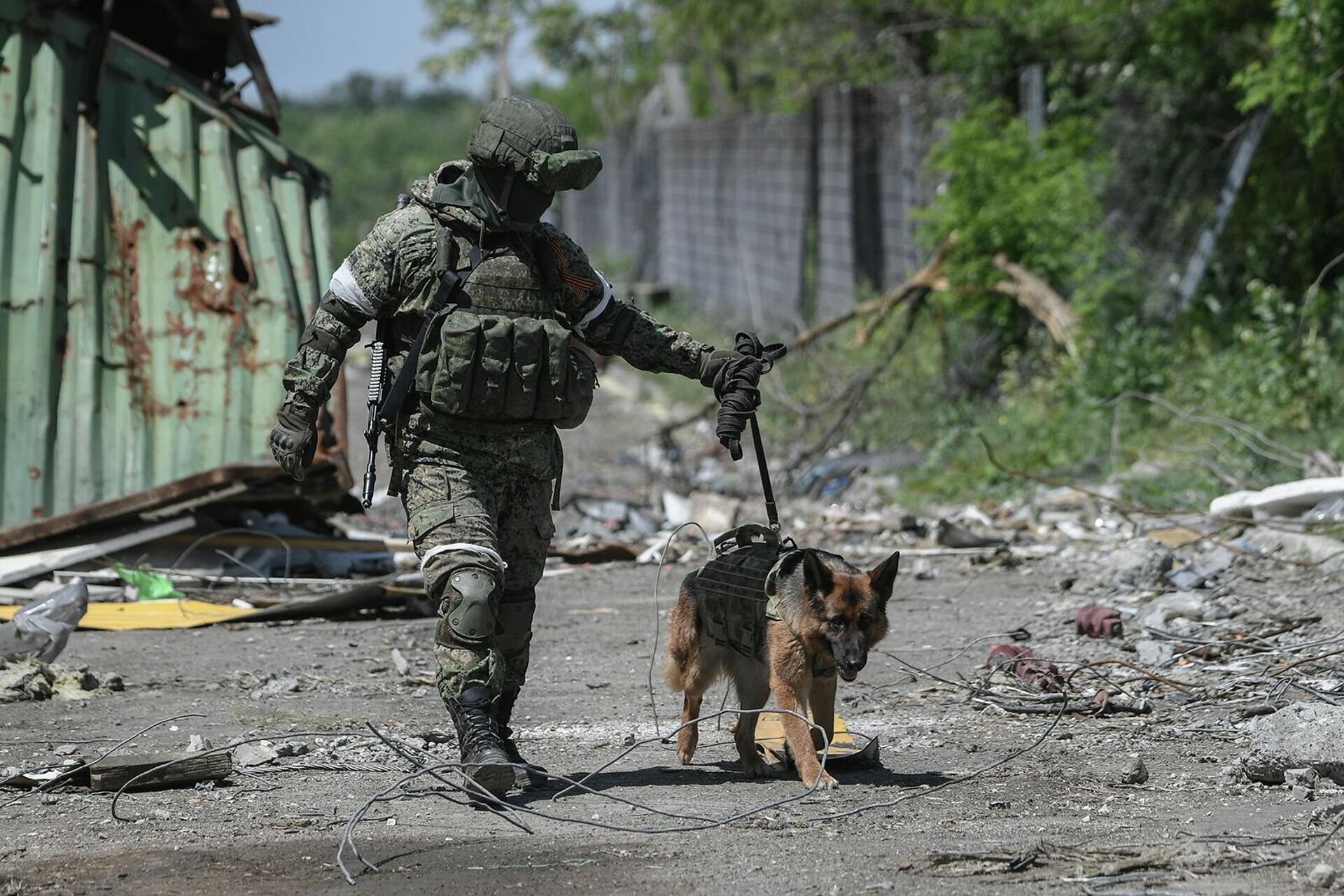 Военнослужащий Международного противоминного центра Вооруженных сил РФ выводит служебную собаку на работы по разминированию территории металлургического комбината Азовсталь и бывших позиций ВСУ в Маруиполе - Sputnik Արմենիա, 1920, 08.06.2022