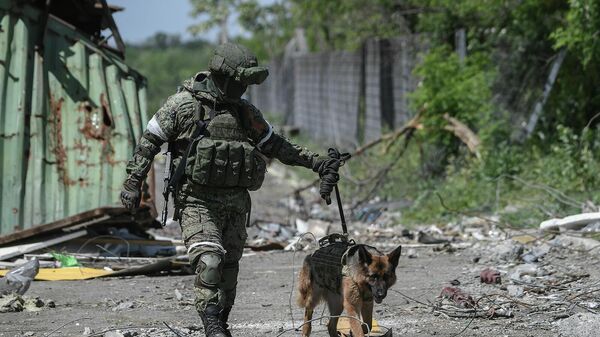 Военнослужащий Международного противоминного центра Вооруженных сил РФ выводит служебную собаку на работы по разминированию территории металлургического комбината Азовсталь и бывших позиций ВСУ в Маруиполе - Sputnik Армения