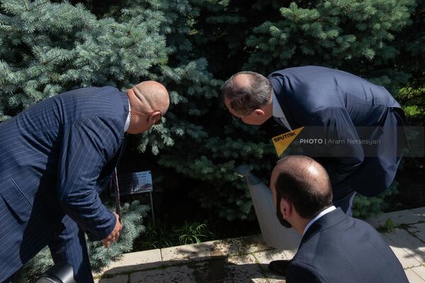 Ель главы МИД РФ была посажена на Аллее памяти в 2007 году - Sputnik Армения