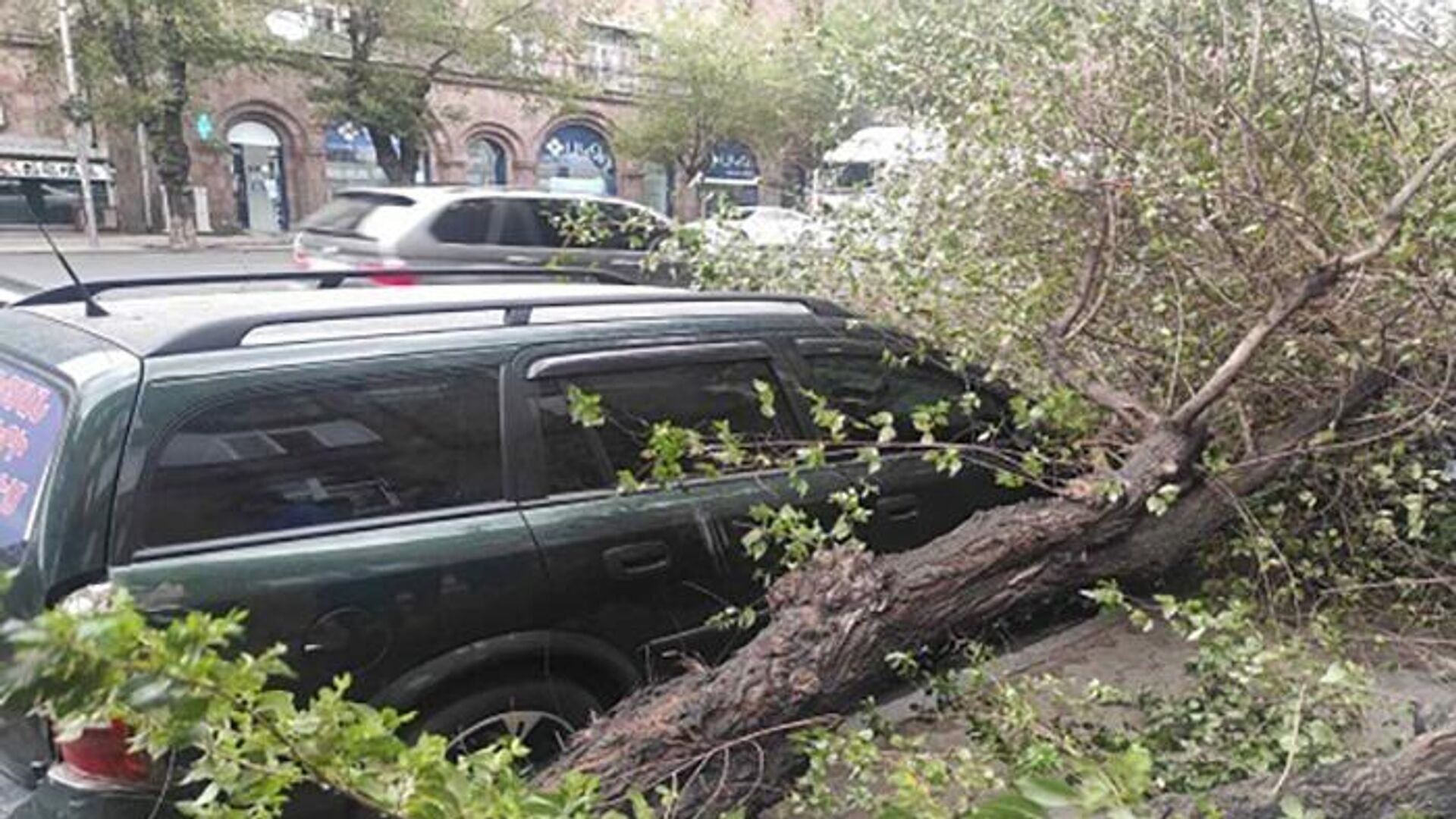 Дерево перевернулось на автомобиль на улице Киевяна (12 июня 2022). Еревaн - Sputnik Արմենիա, 1920, 12.06.2022