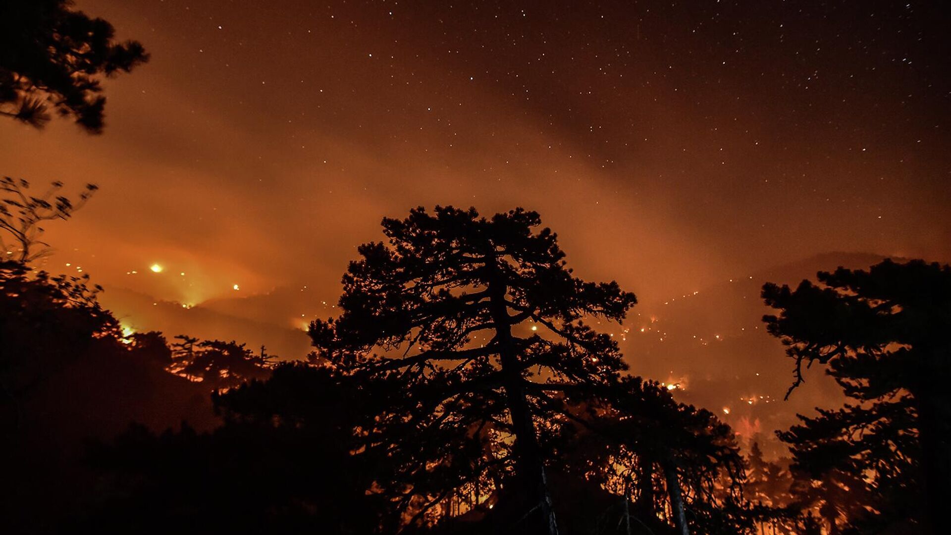 Пожар бушует в лесу в деревне Сеньяйла недалеко от Муглы (7 августа 2021). Турция - Sputnik Армения, 1920, 23.06.2022
