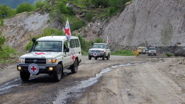 Автомобили Международного Комитета Красного Креста на участке дороги Хот - Воротан Сюникской области - Sputnik Армения