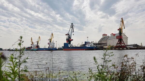 Сухогруз Холмогоры в Калининградском морском торговом порту (30 июня 2022). Калининград - Sputnik Армения