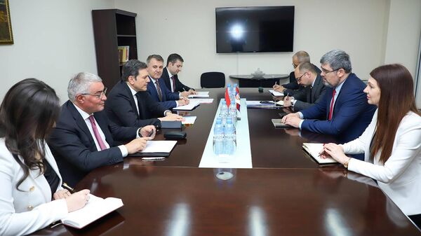 Политические консультации между министерствами иностранных дел Армении и Сербии (30 июня 2022). Еревaн - Sputnik Армения
