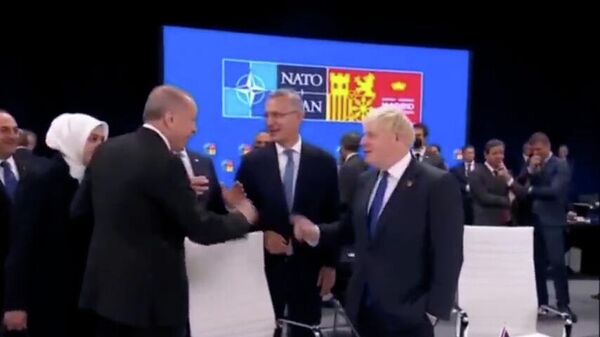 Эрдоган продолжает троллить Джонсона - Sputnik Армения