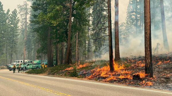 Пожар в Уошберне в Национальном парке Йосемити, Калифорния - Sputnik Армения