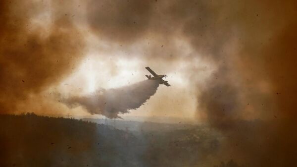 Пожарный самолет во время тушения лесного пожара, бушующий в деревне Казал-да-Кинта, Португалия - Sputnik Армения