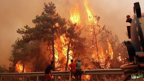 Волонтеры помогают тушить лесной пожар, вспыхнувший в районе Датча в Мугле (13 июля 2022). Турция - Sputnik Армения