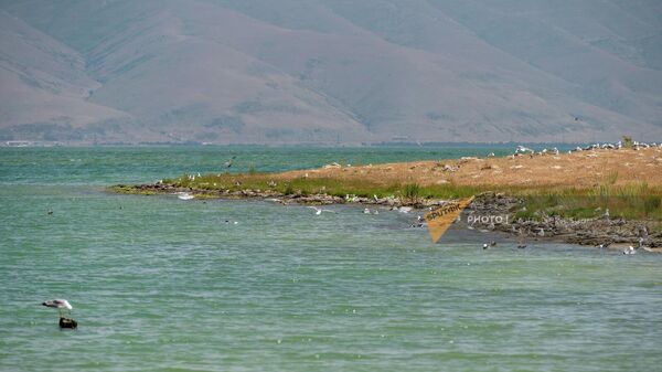 Остров чаек на озере Севан - Sputnik Армения