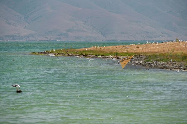 Остров чаек на озере Севан - Sputnik Армения