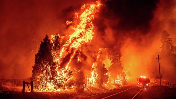 Лесной пожар в Калифорнии  - Sputnik Армения