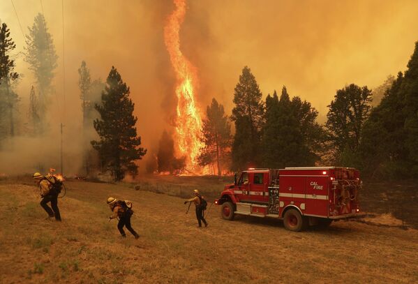 Как сообщает Департамент лесного хозяйства и противопожарной защиты Калифорнии (CAL FIRE), более 2000 пожарных при поддержке 17 вертолетов были задействованы в борьбе с лесным пожаром - Sputnik Армения
