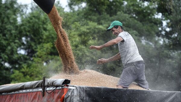 Комбайн выгружает собранную пшеницу в грузовик в Джанкойском районе Крыма - Sputnik Армения