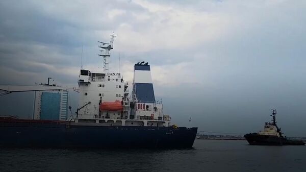 Первое судно с украинским зерном покинуло порт Одессы - Sputnik Армения