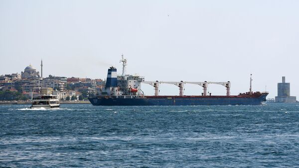Հացահատիկով բեռնված նավ Թուրքիայում - Sputnik Արմենիա