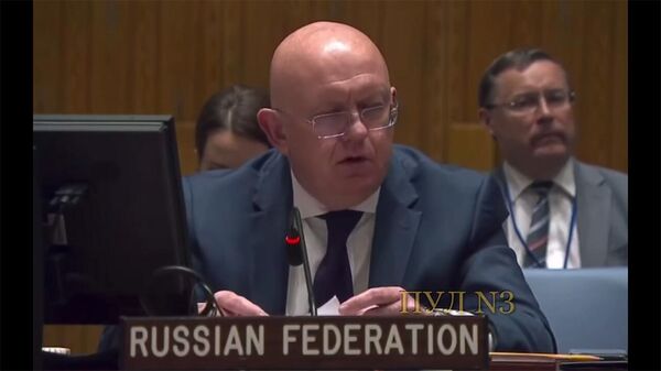 Небензя – на заседании Совбеза ООН по Запорожской АЭС - Sputnik Армения