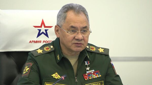 Министр обороны России Сергей Шойгу  - Sputnik Армения