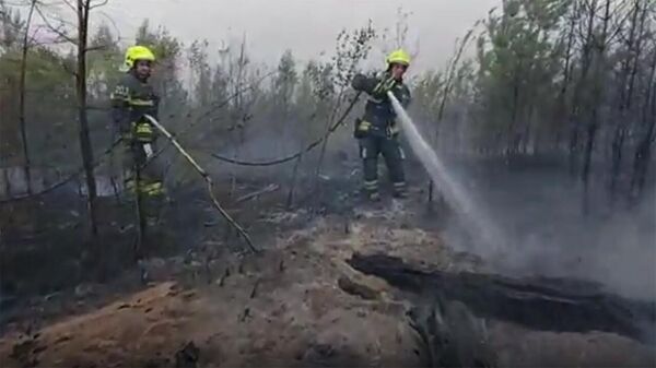 Тушение лесных пожаров в Рязанской области - Sputnik Армения