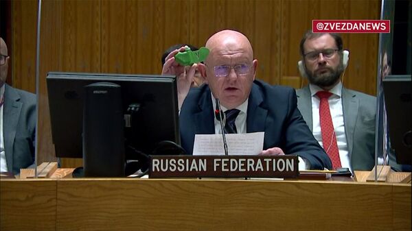 Небензя показал в ООН мину «Лепесток», которыми ВСУ обстреливают мирных жителей ДНР и ЛНР - Sputnik Армения