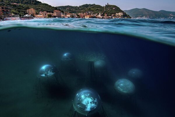 &quot;Сад Немо&quot; - итальянец Джакомо д&#x27;Орландо сфотографировал первый в мире комплекс подводных теплиц в районе итальянской деревушки Ноли. - Sputnik Армения