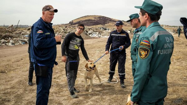 Ռուս մասնագետները որոնողափրկարարական շների վարժեցման դասընթացներ կանցկացնեն Հայաստանում  - Sputnik Արմենիա